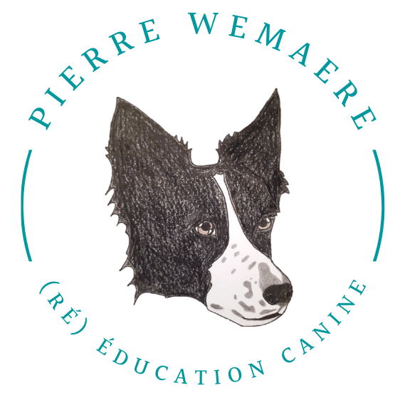 Pierre Wemaere éducation canine